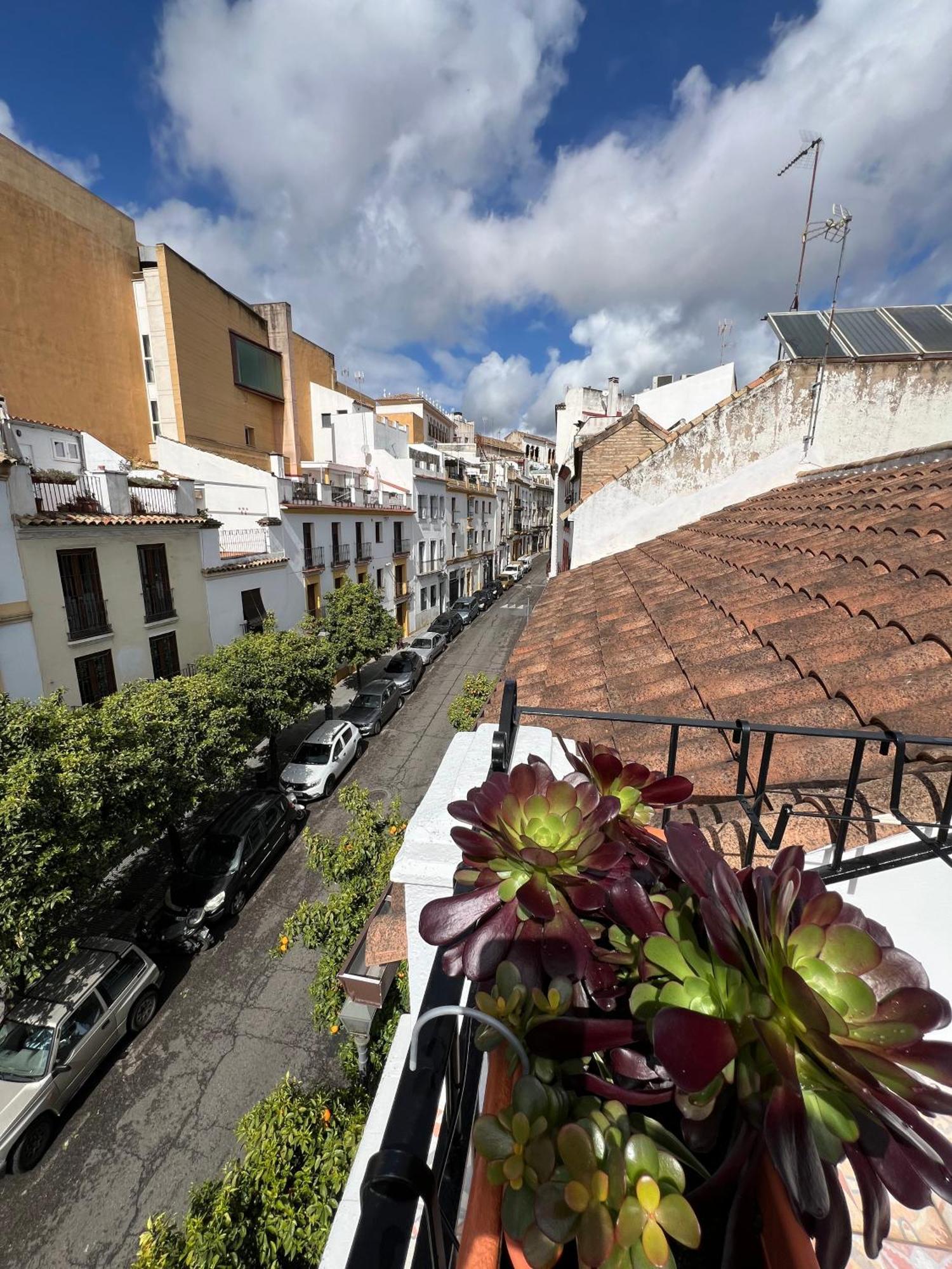 Vila San Fernando 33 Córdoba Exteriér fotografie